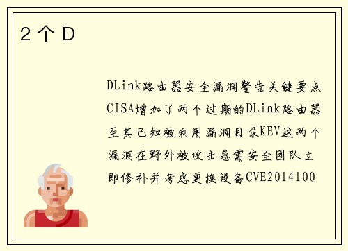 2 个 D